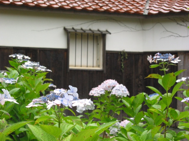 北前船の里資料館 内観
