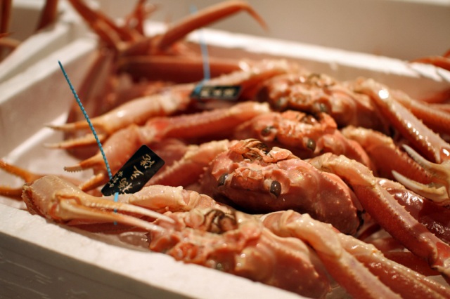 橋立港 ズワイガニ（加能ガニ）
