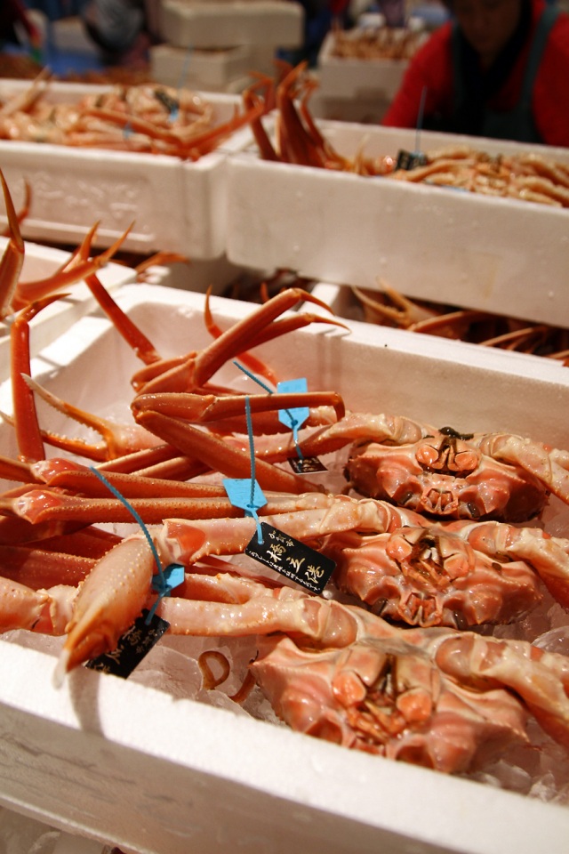 橋立港 ズワイガニ（加能ガニ）