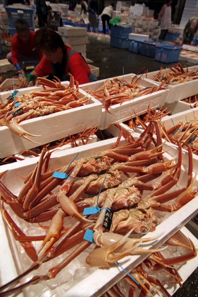 橋立港 ズワイガニ（加能ガニ）