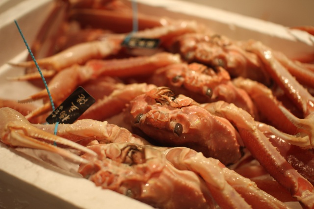 橋立港 ズワイガニ（加能ガニ）