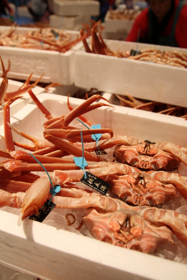 橋立港 ズワイガニ（加能ガニ）