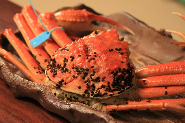 橋立港 ズワイガニ（加能ガニ）