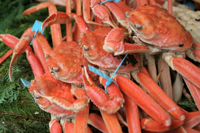 橋立港 ズワイガニ（加能ガニ）