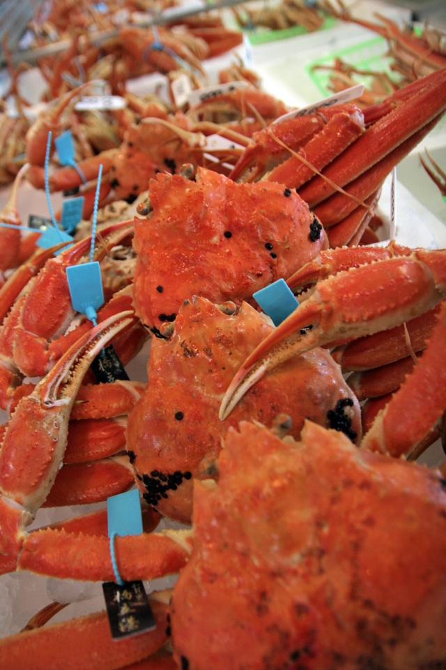 橋立港 ズワイガニ（加能ガニ）