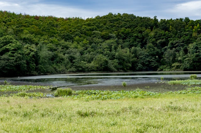 加賀市鴨池観察館