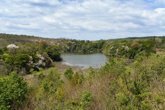 加賀市鴨池観察館