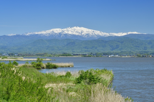 柴山潟から見た白山