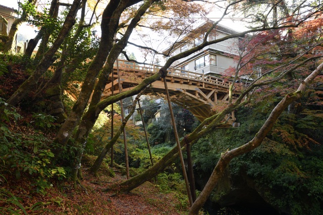 山中温泉 旧こおろぎ橋(三代目）紅葉