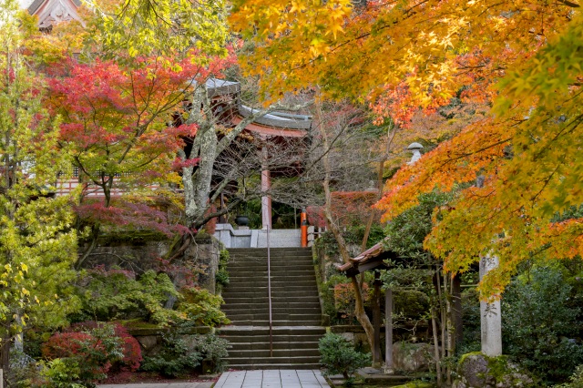 薬王院温泉寺 紅葉