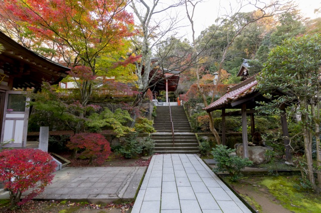 薬王院温泉寺 紅葉
