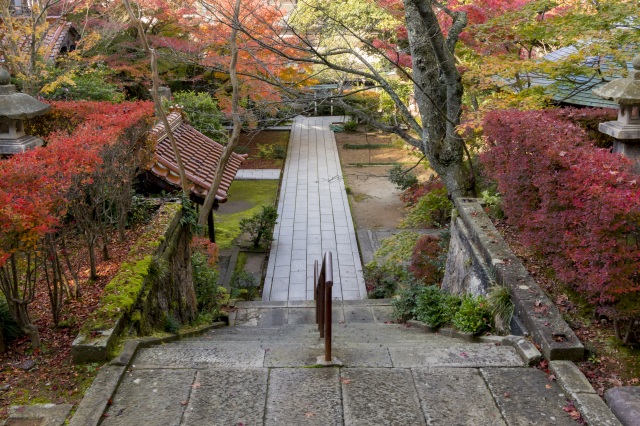 薬王院温泉寺 紅葉