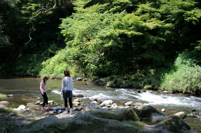 山中温泉 鶴仙渓