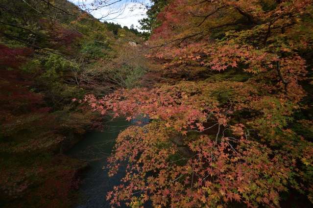 山中温泉 鶴仙渓 紅葉