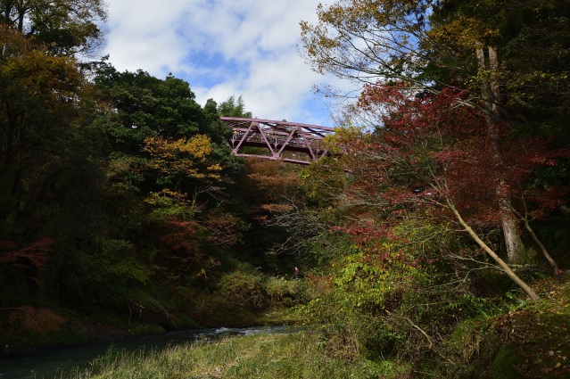山中温泉 あやとりはし 紅葉
