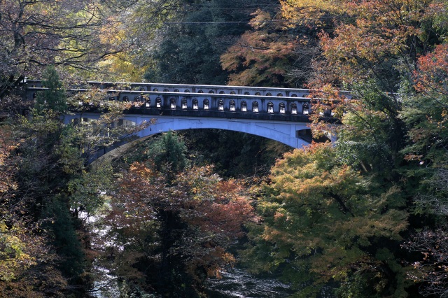 山中温泉 黒谷橋 紅葉
