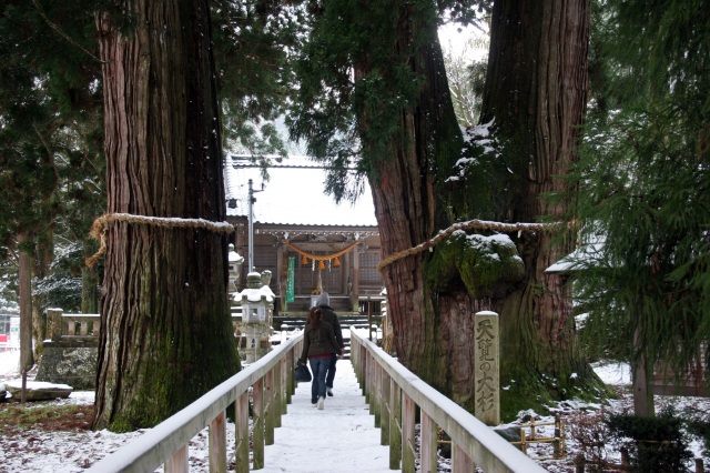 栢野の大杉　雪景色