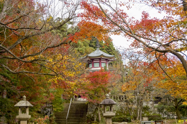 山中温泉 医王寺 紅葉