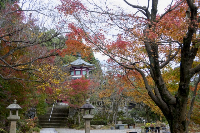 山中温泉 医王寺 紅葉