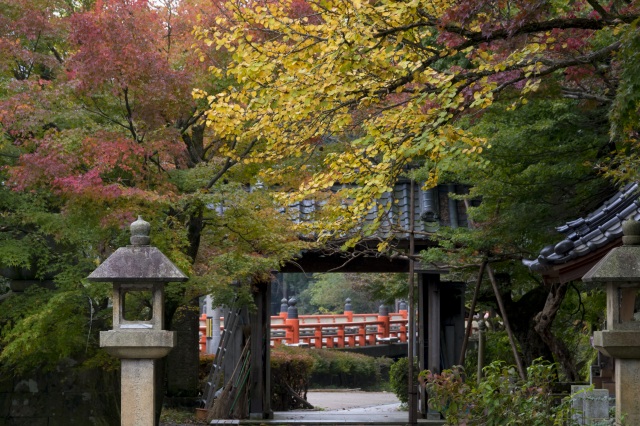 山中温泉 医王寺 紅葉