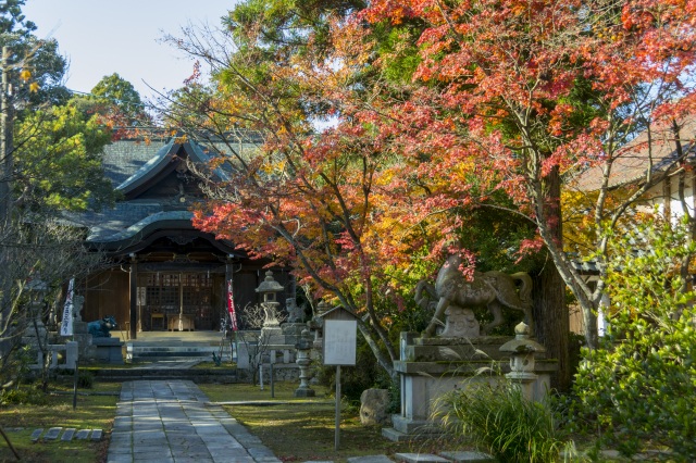 江沼神社 紅葉