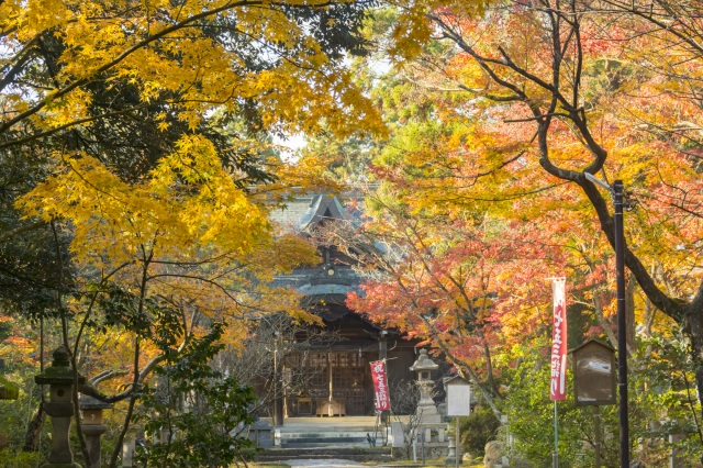 江沼神社 紅葉