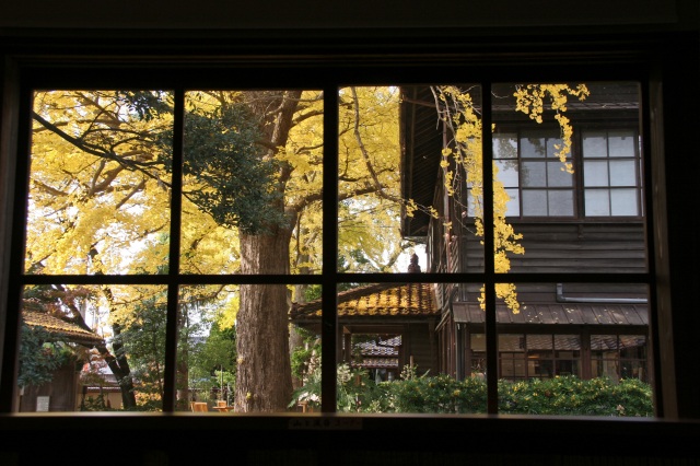 深田久弥 山の文化館 紅葉