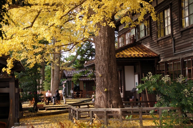 深田久弥 山の文化館 紅葉