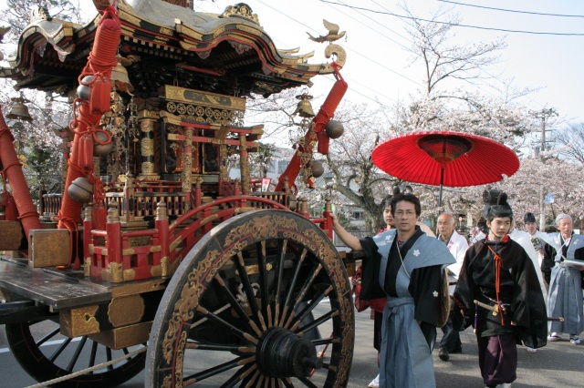 大聖寺 桜祭り