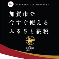 加賀旅先納税 e街ギフト