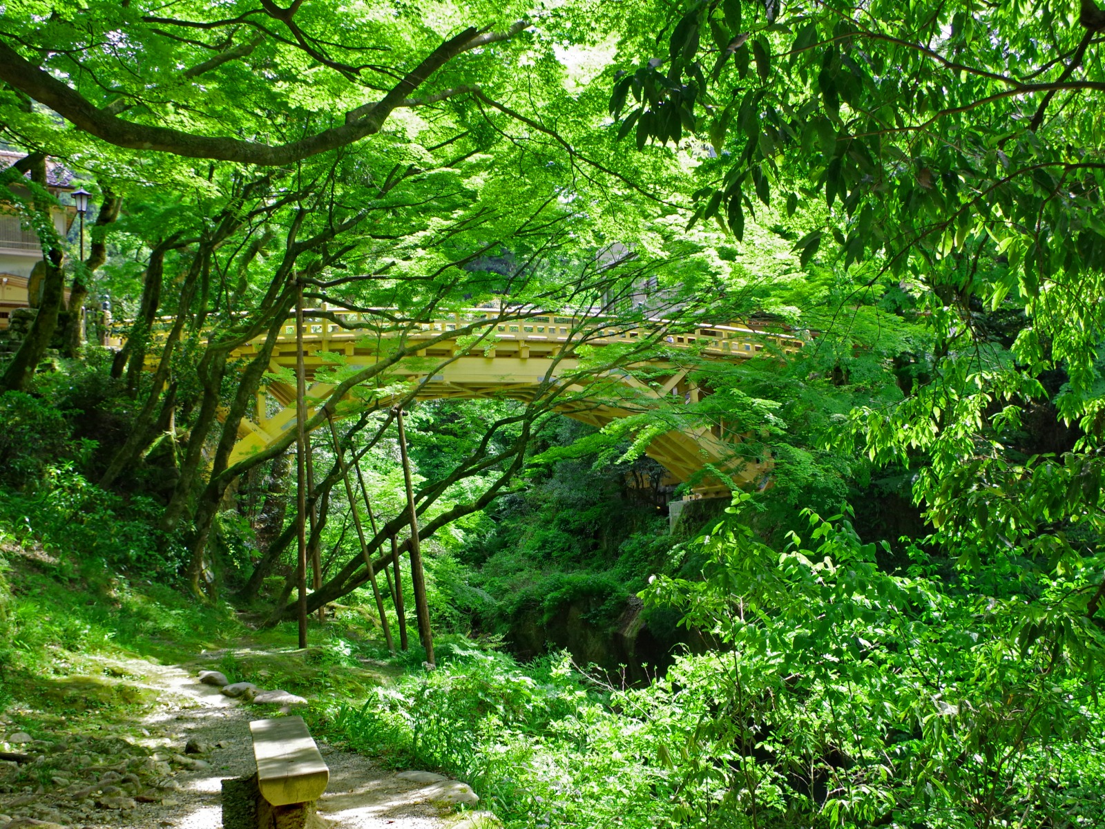 新緑の「こおろぎ橋」