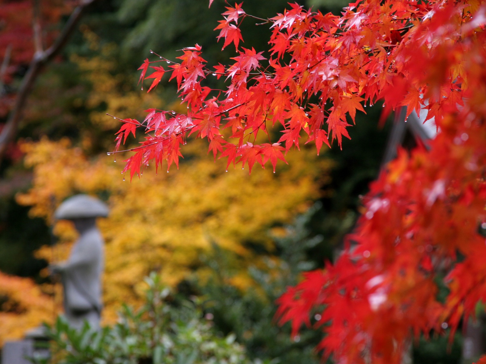 おすすめの紅葉スポット！