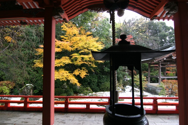 薬王院温泉寺　紅葉