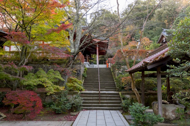 薬王院温泉寺　紅葉