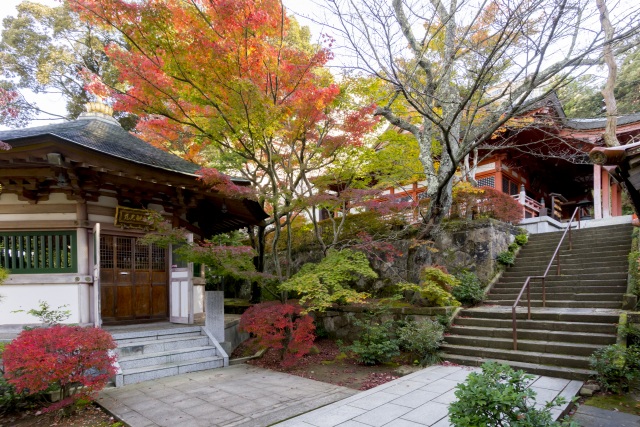 薬王院温泉寺 紅葉