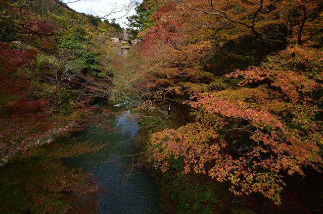 山中温泉 鶴仙渓 紅葉