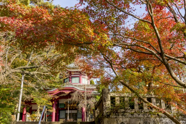 山中温泉 医王寺 紅葉