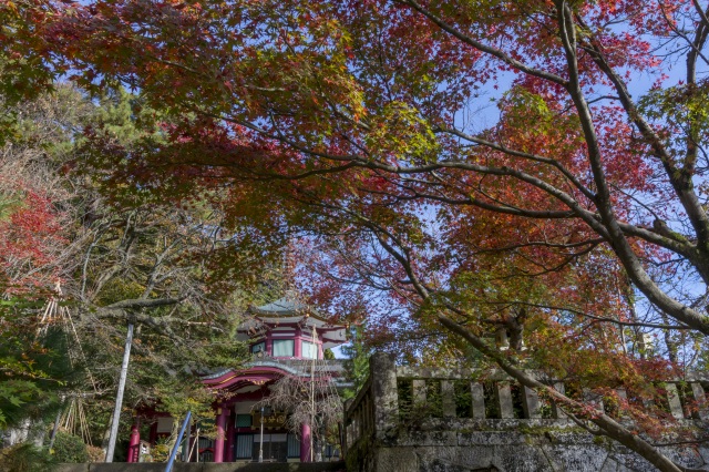 山中温泉 医王寺 紅葉