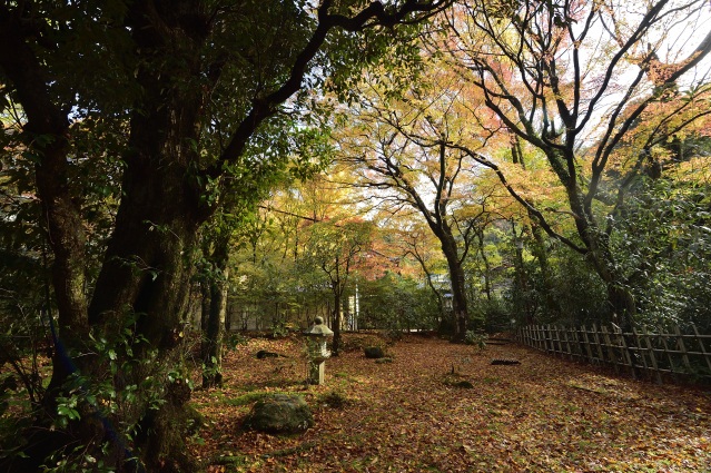 無限庵 紅葉