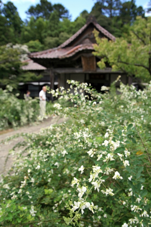 実性院 萩