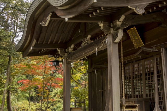 江沼神社 紅葉