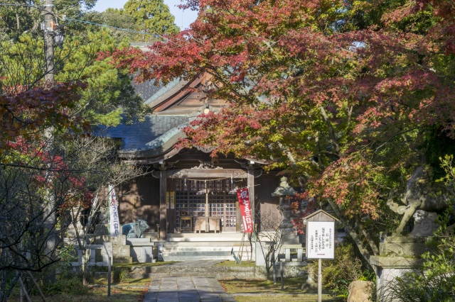 江沼神社 紅葉