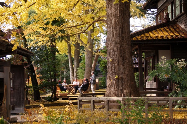 深田久弥 山の文化館 紅葉