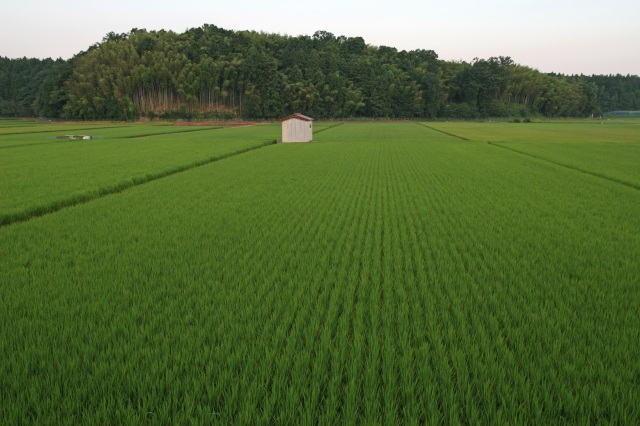 田園風景