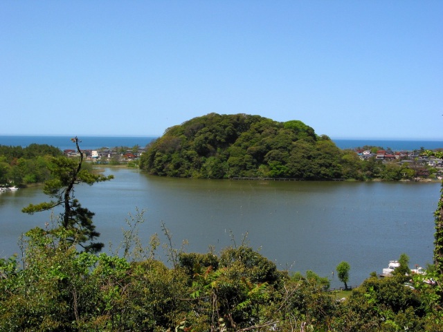 鹿島の森