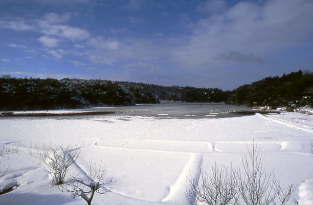 加賀市鴨池観察館