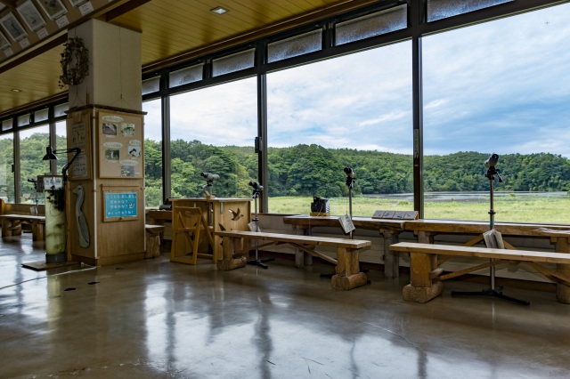 加賀市鴨池観察館