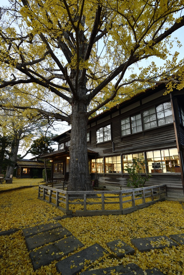 深田久弥 山の文化館 外観