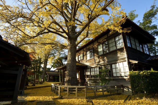 深田久弥 山の文化館 外観