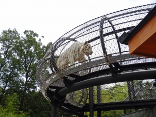 いしかわ動物園